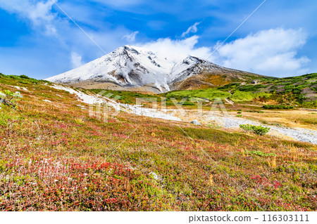 Asahidake, Hokkaido - The contrast between snow and autumn leaves Asahidake, Hokkaido - The contrast between snow and autumn leaves 116303111