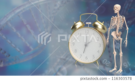 The skeleton and alarm clock for sci or medical concept 3d rendering. 116303578