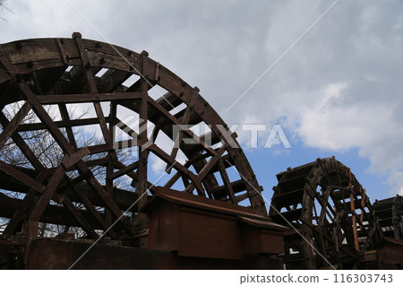 Yamanakako Lotus Flower Park 116303743