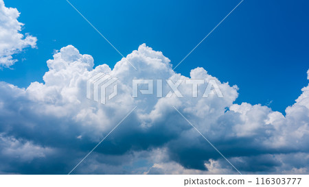 夏日蔚藍的天空出現白雲 116303777