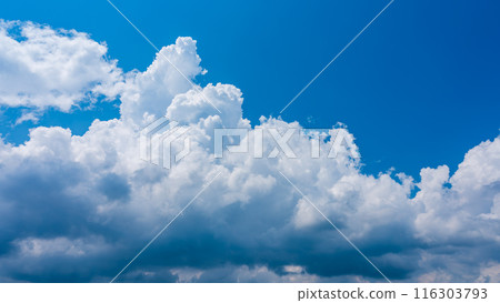 White clouds appearing in the blue summer sky 116303793