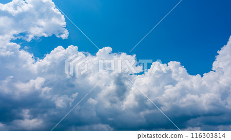 White clouds appearing in the blue summer sky 116303814