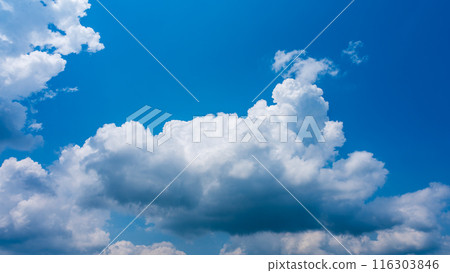 White clouds appearing in the blue summer sky 116303846