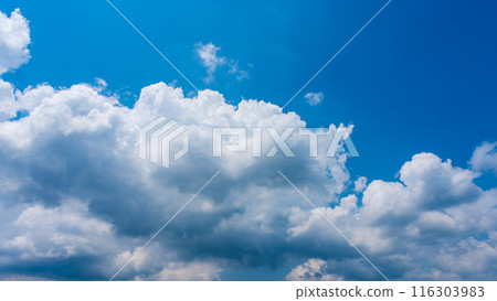 White clouds appearing in the blue summer sky White clouds appearing in the blue summer sky 116303983