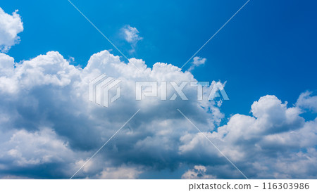 White clouds appearing in the blue summer sky White clouds appearing in the blue summer sky 116303986