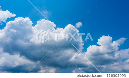 夏日蔚藍的天空出現白雲 116303993