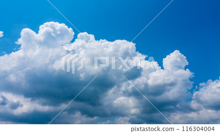 White clouds appearing in the blue summer sky White clouds appearing in the blue summer sky 116304004