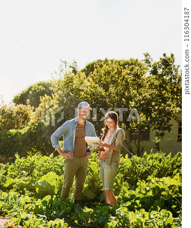 Agriculture, farmer and partner in discussion with paper for plant growth or harvest vegetables in nature. Man, woman and happy couple at garden farm together for planning food production at field Agriculture, farmer and partner in discussion with paper for plant growth or harvest vegetables in nature. Man, woman and happy couple at garden farm together for planning food production at field 116304187