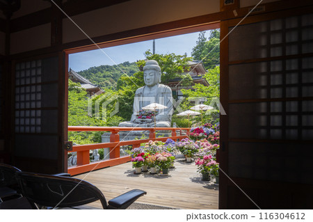 The stone statue of Shaka Nyorai and hydrangeas seen from the Jizo Hall at Tsubosaka Temple 116304612