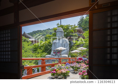 坪坂寺 - 從地藏殿看到的釋迦牟尼如來石像和繡球花 116304613
