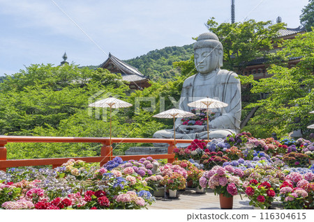 坪坂寺、釋迦牟尼如來石像及繡球花 116304615