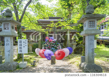 坪坂寺、龍藏宮、繡球花 116304618
