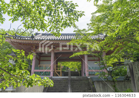 被新綠包圍的坪坂寺仁王門 116304633