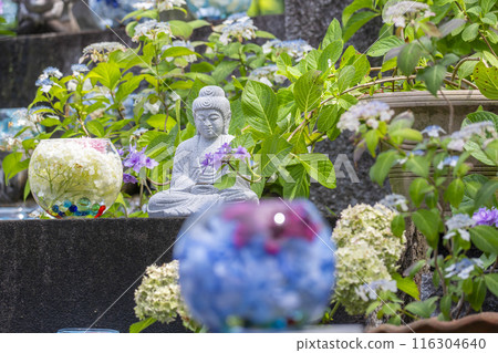 盆坂地繡球花紀念碑繡球花玻璃球 盆坂地繡球花紀念碑繡球花玻璃球 116304640