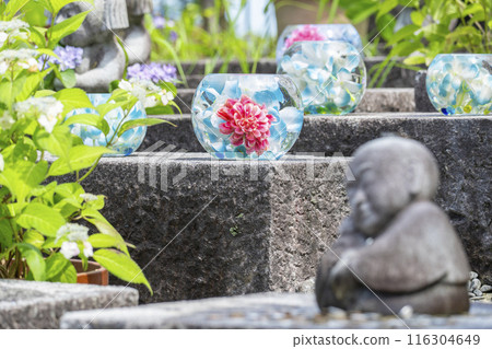 盆坂地繡球花紀念碑繡球花玻璃球 盆坂地繡球花紀念碑繡球花玻璃球 116304649