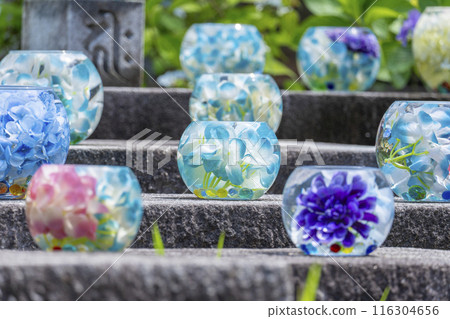 盆坂地繡球花紀念碑繡球花玻璃球 盆坂地繡球花紀念碑繡球花玻璃球 116304656