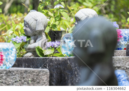 Hydrangea Monument at Tobosanji Temple - Hydrangea Glass Ball Hydrangea Monument at Tobosanji Temple - Hydrangea Glass Ball 116304662