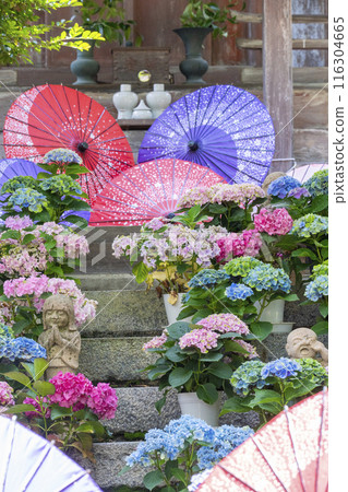 Ryuzogu Shrine and Hydrangeas at Tsubosaka Temple 116304665