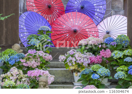 Ryuzogu Shrine and Hydrangeas at Tsubosaka Temple 116304674