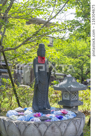 坪坂寺、花手水、菩薩像 116304675