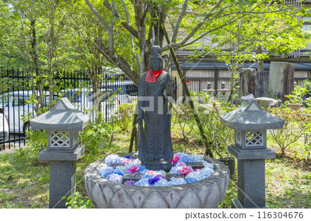 坪坂寺、花手水、菩薩像 116304676