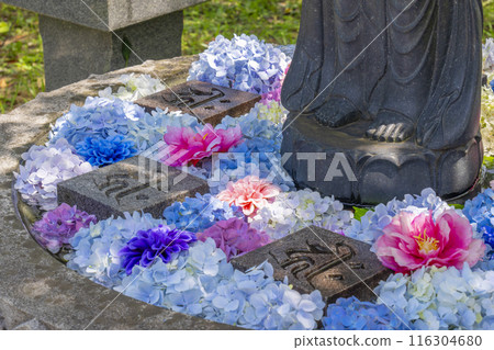 坪坂寺、花手水、菩薩像 116304680