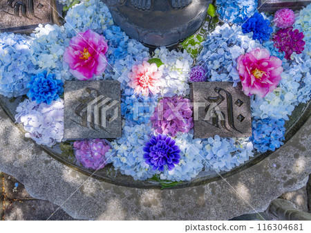 坪坂寺、花手水、菩薩像 116304681