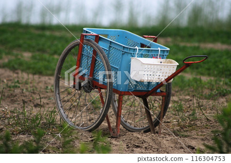 A cart in a field A cart in a field 116304753