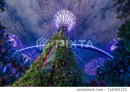Singapore Gardens by the Bay Night Show 116305121