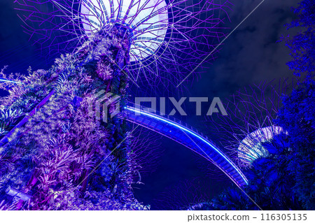 Singapore Gardens by the Bay Night Show 116305135