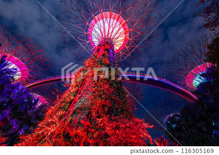 Singapore Gardens by the Bay Night Show 116305169