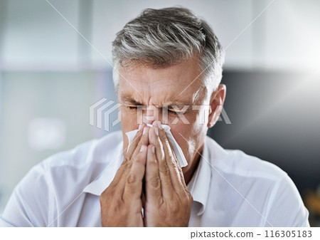 Businessman, sneeze by nose and sick with allergy, covid or virus in company office. Mature employee, tissue paper and manager for sinusitis for health problem, cold fever and bacteria in winter Businessman, sneeze by nose and sick with allergy, covid or virus in company office. Mature employee, tissue paper and manager for sinusitis for health problem, cold fever and bacteria in winter 116305183
