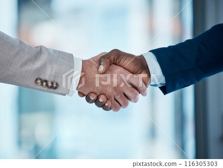 Thank you, welcome and business people in office with handshake for recruitment, deal and hiring negotiation. Job interview, meeting and men shaking hands for b2b agreement, congratulations or offer 116305303