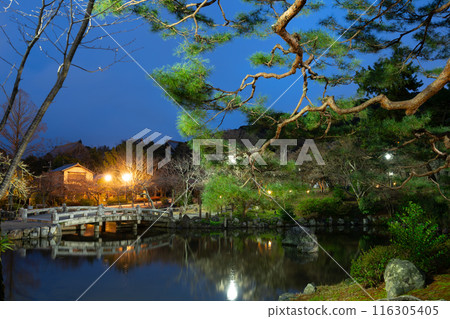 Night view of Maruyama Park traditional garden in Kyoto, Japan 116305405