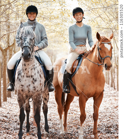 Friends, women and horse riding in nature for exercise, sports and adventure or freedom in forest. Equestrian, together and animal or pet for health, training and wellness in countryside or woods 116305520