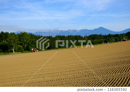 九月美瑛風景 九月美瑛風景 116305592