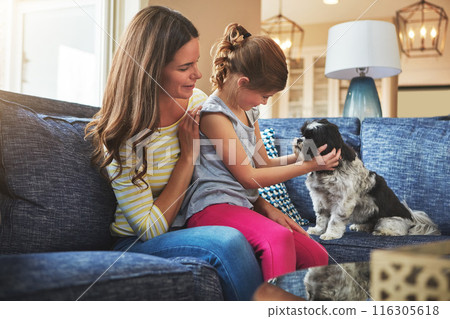 Mother, girl and dog on couch with smile for relationship trust and support for animal care in home. Happy woman, kid and maltese on apartment sofa for love connection and bond together with scratch 116305618