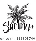 Summer typography t-shirt design, Hand drawn lettering phrase, Greeting cards, templates, mugs 116305740
