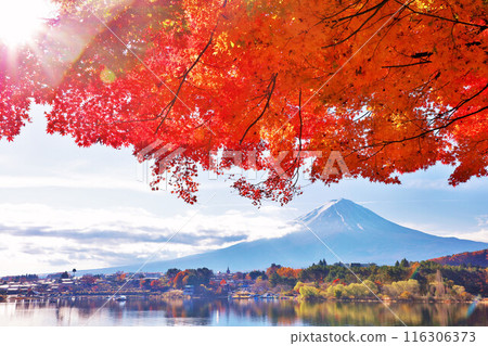 Autumn leaves and Mt. Fuji 116306373