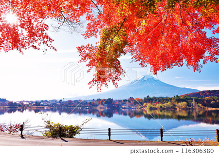 Autumn leaves and Mt. Fuji 116306380