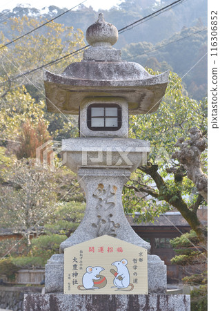 Otoyo Shrine's night lights 116306852
