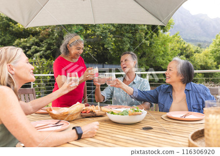 Diverse senior female friends toasting glasses outdoors Diverse senior female friends toasting glasses outdoors 116306920