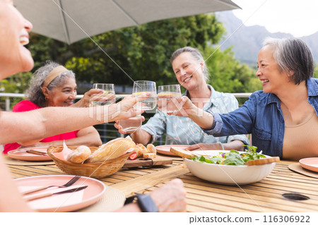 Diverse senior female friends toasting glasses outside Diverse senior female friends toasting glasses outside 116306922