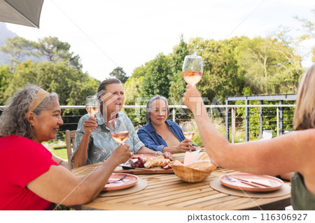 Diverse senior female friends enjoying wine outdoors Diverse senior female friends enjoying wine outdoors 116306927