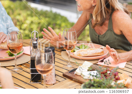 Diverse senior female friends enjoying outdoor meal together 116306937