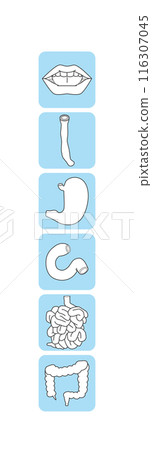 Simple digestive system icon set Simple digestive system icon set 116307045