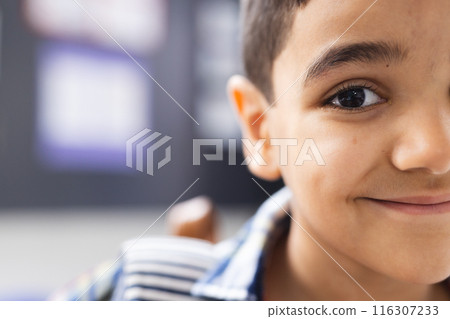 In school, in the classroom, a young biracial boy with a cheerful expression is looking forward with In school, in the classroom, a young biracial boy with a cheerful expression is looking forward with 116307233