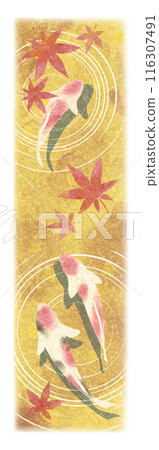 Autumn image of Nishikigoi and red maple leaves illustration 2 116307491
