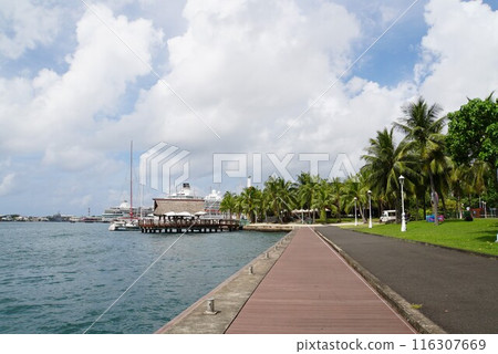 大溪地島 Paofe 花園景觀 大溪地島 Paofe 花園景觀 116307669
