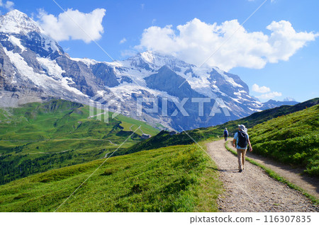 健行路線，您可以看到艾格峰、僧侶峰和少女峰[瑞士/格林德瓦] 116307835